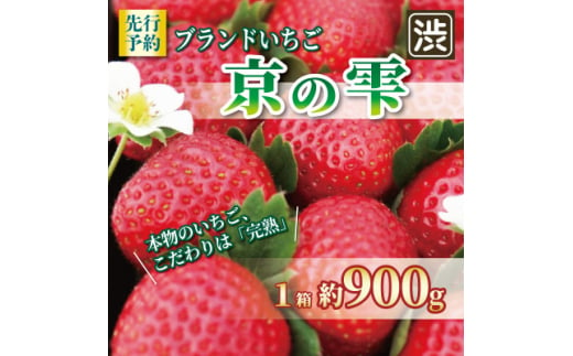 いちご 京の雫 化粧箱入り  1箱 900g 20～28粒入り【1588663】