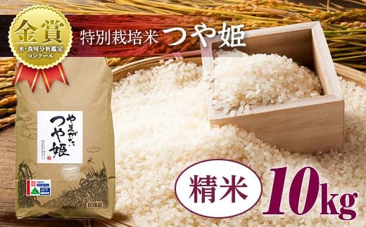 【令和6年産】米・食味分析鑑定コンクール金賞受賞生産者が作る 特別栽培米 つや姫 10kg 精米 F21B-412