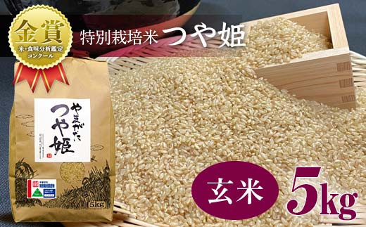 【令和6年産】米・食味分析鑑定コンクール金賞受賞生産者が作る 特別栽培米 つや姫 5kg 玄米 F21B-413