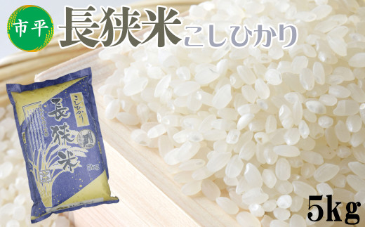 【市平】長狭米 コシヒカリ ５kg　[0019-0007]