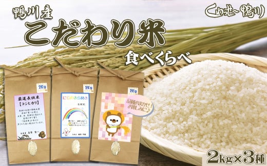 《令和６年産》【くわっせ～鴨川】鴨川産『こだわり米』精米２kg×３種《コシヒカリ・虹のきらめき・おまかせ》　[0015-0055] 570830 - 千葉県鴨川市