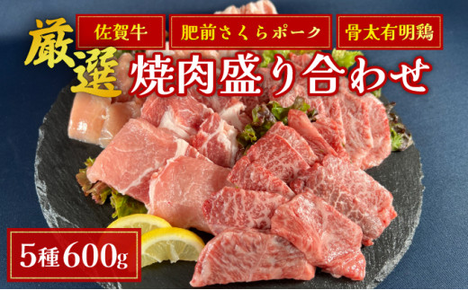 佐賀ざんまい！厳選5種焼肉盛り合わせ600g（2～3人前） 盛り合わせ 焼肉 牛肉 豚肉 鶏肉 佐賀牛 肩ロース カルビ 肥前さくらポーク 豚バラ 豚ロース 有明骨太鶏 モモ B-1089