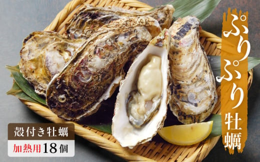 牡蠣 殻付き 18個 加熱調理用 宮城県産 石巻市 かき 冷蔵 蒸し牡蠣 焼き牡蠣