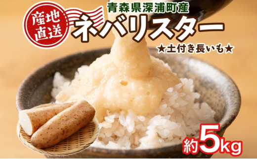 【ふるさと納税】青森県深浦町産 ネバリスター 約5kg 土つき 長芋 根菜 野菜 とろろ 粘り ねばねば 加熱調理 ホクホク 味が濃い 甘み 産地直送 青森県 深浦町 お届け：2025年12月中旬～2026年2月下旬 1160964 - 青森県深浦町