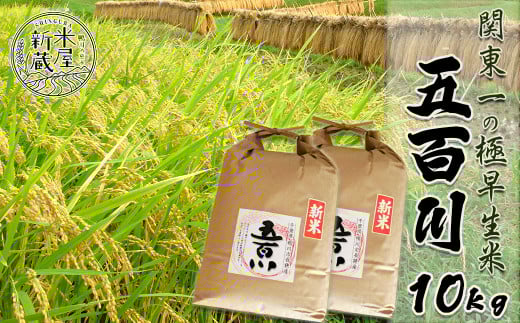 《令和６年産》【米屋新蔵】関東一の極早生米『五百川』10kg　[0023-0005] 397959 - 千葉県鴨川市