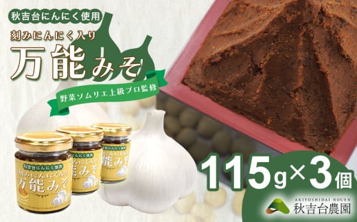 野菜ソムリエ 上級プロ 監修 ! 刻みにんにく 入り 万能 みそ（ 秋吉台 にんにく 使用 ） ｜ 山口県 山口 ふるさと 納税 支援品 返礼品 支援 返礼 にんにく 国産 味噌 みそ 刻み 調味料 健康 取り寄せ ご当地 お土産 名産品 特産品 美祢 美祢市 秋吉台 1975185 - 山口県美祢市