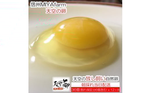 382＊信州MIYAFARM　「天空の卵」有機野菜を食べて育った放し飼い自然卵　6ヶ月定期便