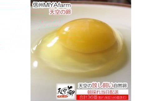 信州小川村 有機飼料を食べて育った、栄養たっぷりの朝採れ卵を当日出荷