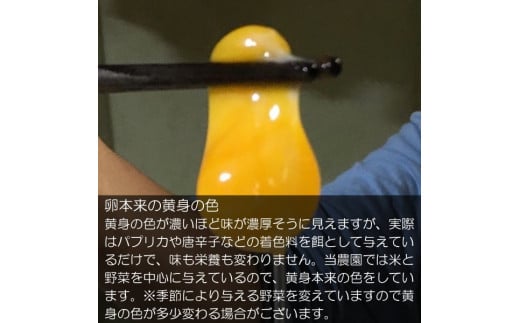 信州小川村　有機飼料を食べて育った、栄養たっぷりの朝採れ卵を当日出荷