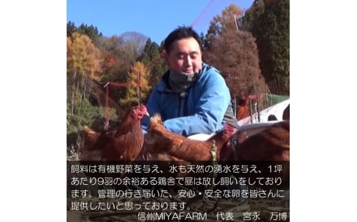 信州小川村　有機飼料を食べて育った、栄養たっぷりの朝採れ卵を当日出荷