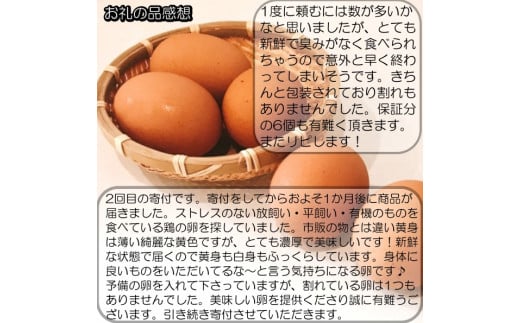 信州小川村　有機飼料を食べて育った、栄養たっぷりの朝採れ卵を当日出荷