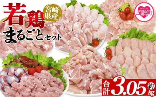 ＜宮崎県産若鶏まるごとセット 約3.05kg＞ 国産 鶏 肉 精肉 モモ もも肉 使いやすい パック 真空冷凍 切り身 選べる数量 お弁当 惣菜 からあげ 照り焼き 数量限定 BBQ バーベキュー 鶏ムネ 鶏むね 鳥モモ ささみ ササミ 小分け 【MI443-tr】【TRINITY】 1980735 - 宮崎県三股町