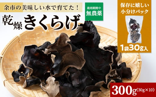 余市町産 乾燥きくらげ30g×10袋 国産 北海道産 1980017 - 北海道余市町