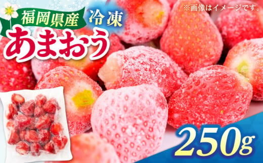 福岡県産 冷凍あまおう 250g（250g×1個）≪築上町≫【株式会社木村食品】[ABEB024] いちご イチゴ 苺 果物 フルーツ [ABEB024]