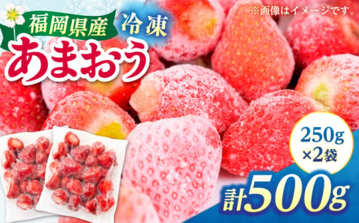 福岡県産 冷凍あまおう 500g（250g×2個）≪築上町≫【株式会社木村食品】[ABEB025] いちご イチゴ 苺 果物 フルーツ [ABEB025]