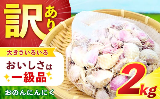 【訳あり】　【毎年1万箱売れてます】　『おのんにんにく』2kg　/　にんにく　ニンニク　料理　滋養　/　諫早市　/　株式会社ファーム中島 [AHDL004]