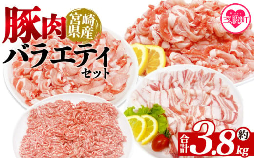 ＜豚肉バラエティセット 約3.8kg＞ 宮崎県産 バラエティー 国産 ぶたにく お肉 ブタ 精肉 切り落し こま 小間切れ 豚コマ バラ肉 使いやすい パック 冷凍 保存 切り身 スライス おかず お弁当 惣菜 ポークカレー 肉じゃが 料理 アレンジ 【MI465-tr】【TRINITY】 1980724 - 宮崎県三股町