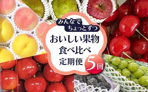 《先行予約 2025年度発送》みんなでちょっとずつおいしい果物食べ比べ定期便 5回 FSY-2181