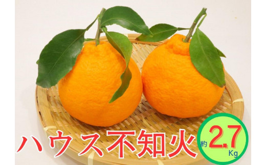 ハウス不知火　約2.7kg 1552000 - 香川県坂出市