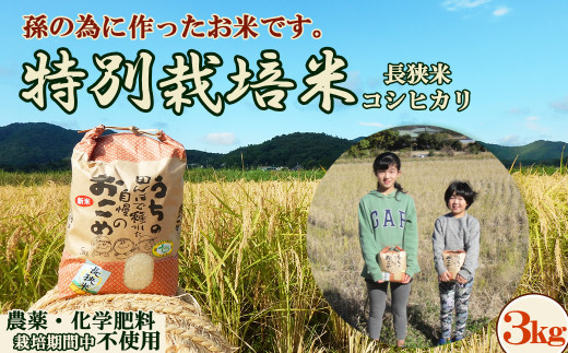 【令和６年産】孫のために作りました！田代農園の『特別栽培米』《玄米》３kg　[0020-0097] 402348 - 千葉県鴨川市