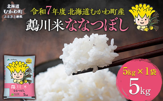 （精米5kg）鵡川米ななつぼし 令和7年産 【 ふるさと納税 人気 おすすめ ランキング 米 コメ こめ お米 ななつぼし 5kg ご飯 白米 精米 国産 ごはん 白飯 北海道 むかわ町 送料無料 】 MKWAI001