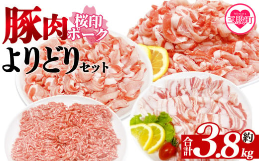 ＜桜印ポークよりどりセット 約3.8kg＞ 国産 ぶたにく お肉 ブタ 精肉 切り落し こま 小間切れ 豚コマ バラ ばら肉 ロース 使いやすい パック 冷凍 保存 切り身 スライス おかず お弁当 惣菜 揚げ物 小分け ポークカレー 肉じゃが【MI456-tr】【TRINITY】 1980725 - 宮崎県三股町