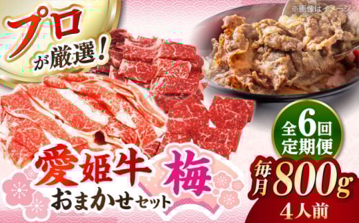 【全6回定期便】「愛姫牛」店主におまかせ旬セット【梅】800g（4人前）愛媛県大洲市/有限会社 木村屋精肉店  小間切れ 角切り 赤身 牛肉 冷凍 冷凍肉 お肉 [AGCC058] 1975244 - 愛媛県大洲市