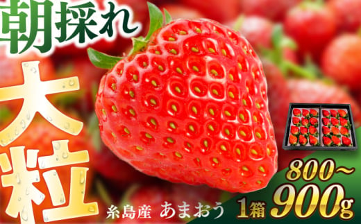 糸島産 あまおう 1箱（800-900g） 糸島市 / 平山農園 [AXN003]