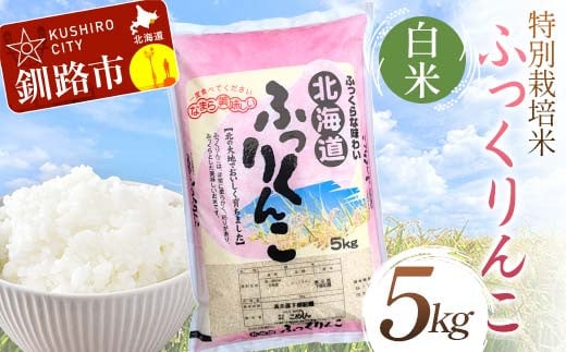 【通常発送】特別栽培米ふっくりんこ 5kg 白米 北海道産 米 コメ こめ お米 白米 玄米 決済から7日前後 F4F-7201 1988893 - 北海道釧路市