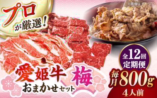【全12回定期便】「愛姫牛」店主におまかせ旬セット【梅】800g（4人前）愛媛県大洲市/有限会社 木村屋精肉店 小間切れ 角切り 赤身 牛肉 冷凍 冷凍肉 お肉 [AGCC059] 1975245 - 愛媛県大洲市