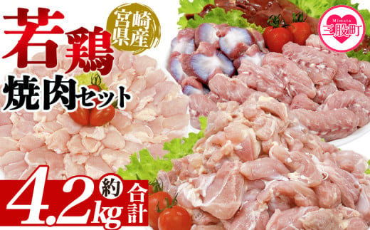 ＜宮崎県産若鶏焼肉セット 約4.2kg＞ 国産 鶏 肉 精肉 モモ もも肉 使いやすい パック 真空冷凍 切り身 選べる数量 お弁当 惣菜 からあげ 照り焼き 数量限定 BBQ バーベキュー セセリ せせり レバー 砂肝 肝 てば 手羽中 小分け 【MI445-tr】【TRINITY】 1980742 - 宮崎県三股町