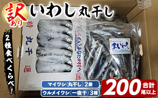 訳あり！イワシ丸干しセット(合計200尾以上) 国産 鹿児島県産 阿久根市産 魚 魚介 水産 訳あり 訳アリ いわし 鰯 ウルメイワシ うるめいわし めざし 真イワシ 真いわし マイワシ まいわし 丸干 一夜干 食べ比べ セット 詰め合わせ 【鈴木海産】a-20-31-z