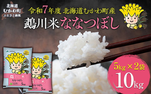 （精米10kg）鵡川米ななつぼし 令和7年産 【 ふるさと納税 人気 おすすめ ランキング 米 コメ こめ お米 ななつぼし 10kg ご飯 白米 精米 国産 ごはん 白飯 北海道 むかわ町 送料無料 】 MKWAI002