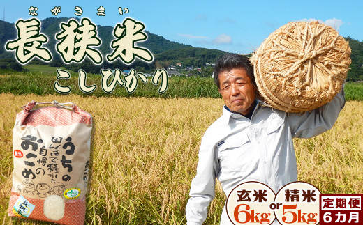 【令和６年産】田代農園の定期便『長狭米コシヒカリ（一等米）』【玄米６kg】×６カ月　[0066-0001] 396876 - 千葉県鴨川市