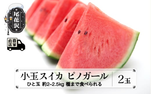 タネまで食べられる小玉スイカ  ピノガール (約2~2.5kg)×2玉 7月中旬～8月上旬頃発送 令和7年産 2025年産 尾花沢産 スイカ すいか 西瓜 果物 くだもの フルーツ 観光物産 kb-supgx2 539045 - 山形県尾花沢市