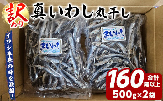 訳あり！真イワシ丸干し＜めざし＞(合計160尾以上・500g×2袋) 国産 鹿児島県産 阿久根市産 魚 魚介 水産 訳あり 訳アリ いわし 鰯 めざし マイワシ まいわし 真いわし 丸干し 丸干 チャック付き袋 【鈴木海産】a-14-62-z