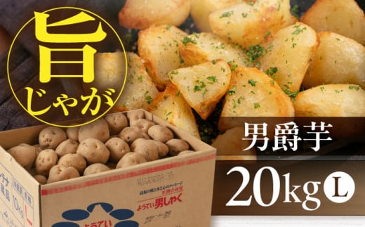 新じゃが じゃがいも 男爵芋 20Kg ジャガイモ じゃがいも 野菜 季節の野菜 詰め合わせ 北海道 産地直送 