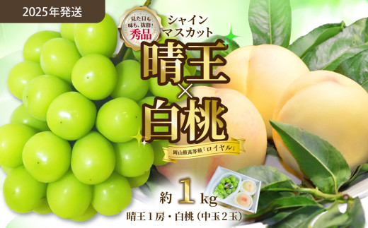 [令和7年発送分]岡山県産 シャインマスカット晴王×白桃 約1kgセット(令和7年7月から8月発送)[ 岡山県産 シャインマスカット 秀品 晴王 白桃 ロイヤル 晴れの国おかやま ]