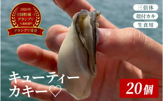 【2024全国牡蠣-1グランプリ】【グランプリ受賞】三倍体　殻付カキ(生食用)　キューティーカキー♡ 20個