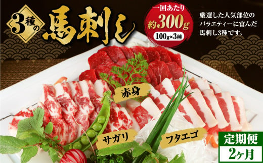 【定期便 2回】3種の馬刺し 約 300g【赤身・フタエゴ・サガリ】 計約 600g 熊本 馬刺し 馬肉 馬 3種類 セット 冷凍 ふたえご さがり 食べ比べ