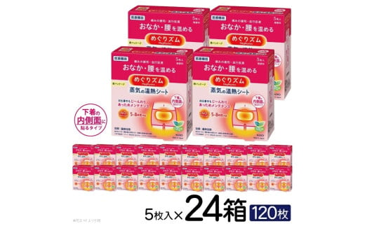 SF0220　めぐりズム 蒸気の温熱シート【下着の内側面に貼るタイプ】　120枚(5枚入×24箱)