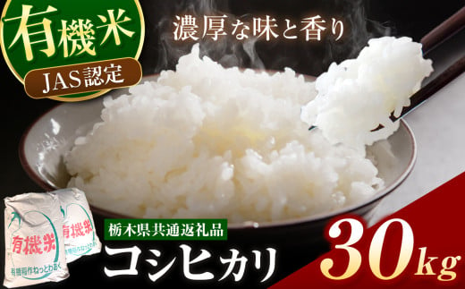 栃木県産 JAS認定 有機栽培 コシヒカリ 白米 30kg | お米 こめ ご飯 ごはん おにぎり おむすび 米 有機栽培 オーガニック 有機JAS 送料無料 単品 こしひかり 栃木県 銘柄米 ブランド米 栃木県共通返礼品 1978679 - 栃木県真岡市