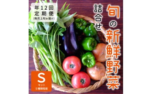 ＜発送月固定定期便＞『大阪能勢産』べじたぶるぱーくの新鮮野菜詰合せ　Sセット(5種類)上旬全12回【4062852】