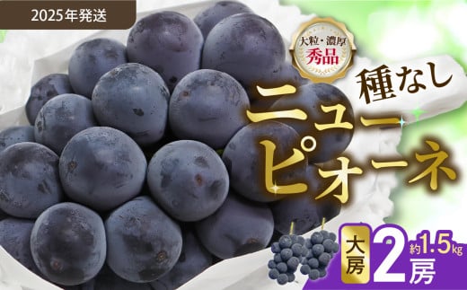 【令和７年発送分】岡山県産 ニューピオーネ 大房2房（令和7年8月から10月発送）【 岡山県産 ニューピオーネ 大房 晴れの国おかやま 】 1155408 - 岡山県備前市