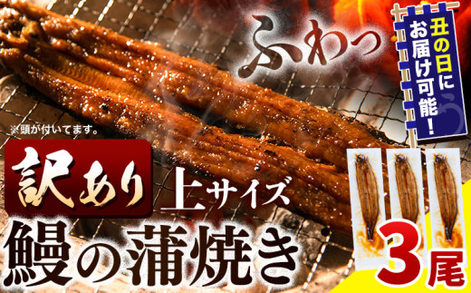 うなぎ 訳あり 鰻の蒲焼き 3尾 [7月上旬-7月中旬頃出荷]│ うなぎ 国産 うなぎ 訳あり サイズ不揃い 1尾100g以上 先行予約 土用の丑の日 選べる出荷時期 簡易包装 送料無料 徳島県 上板町