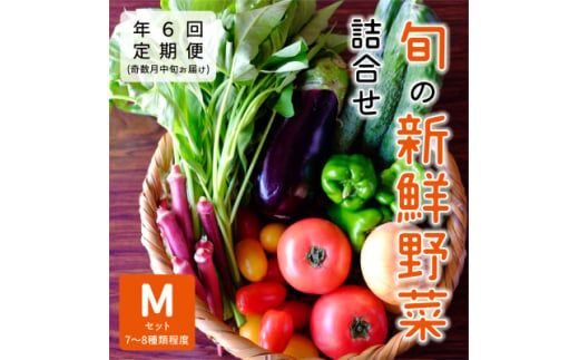 ＜発送月固定定期便＞『大阪能勢産』べじたぶるぱーくの新鮮野菜詰合せMセット(7～8種類)奇数月全6回【4062846】 1980566 - 大阪府能勢町