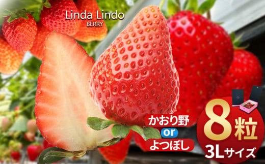 Linda Lindo BERRY 3Lサイズ 8粒 507621 - 岐阜県北方町