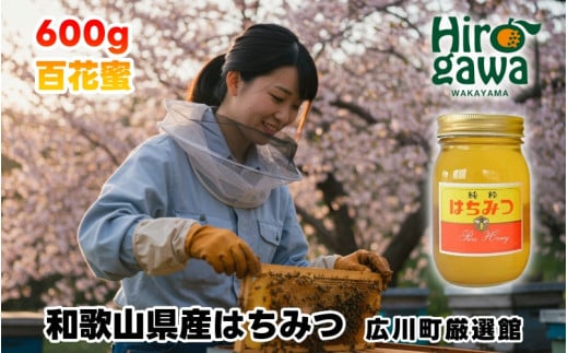 はちみつ 和歌山県産 600g 百花蜜 【tec603-600-hyaku】 1979461 - 和歌山県広川町