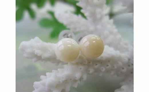 珊瑚職人館の珊瑚ピアス39