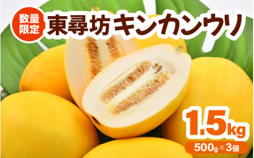 【先行予約】あま～い香り！東尋坊キンカンウリ （まくわうり） 1.5kg （500g × 3個入り） 【2025年7月中旬以降順次発送予定】 【マクワウリ 真桑瓜 フルーツ 野菜 果実 甘い 瓜 サラダ 漬物 抗酸化作用 旬の味覚】 [A-10242]